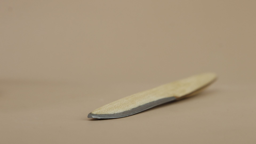 _MG_9170 13.16.14.webp