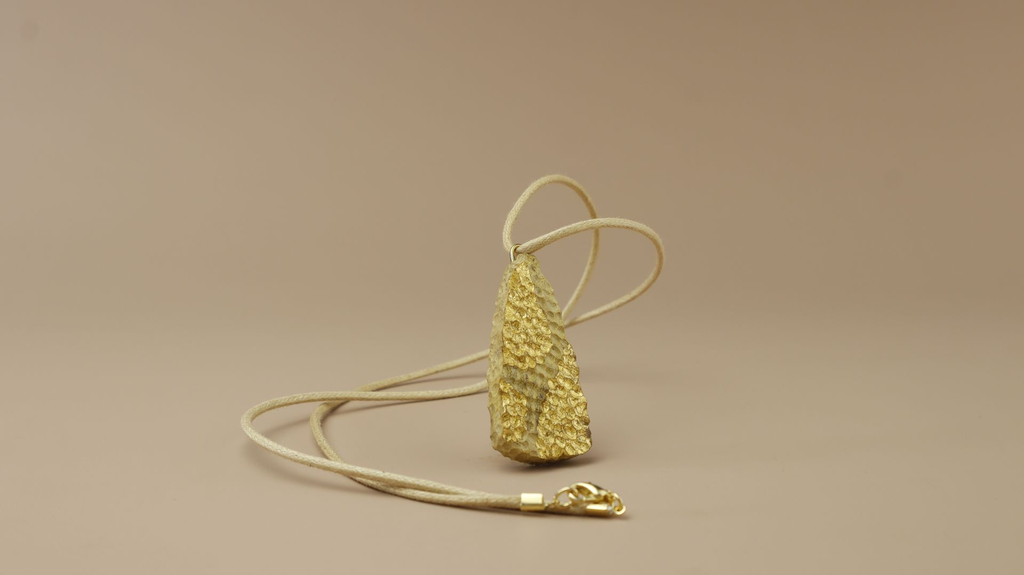 _MG_8819 13.13.43.webp