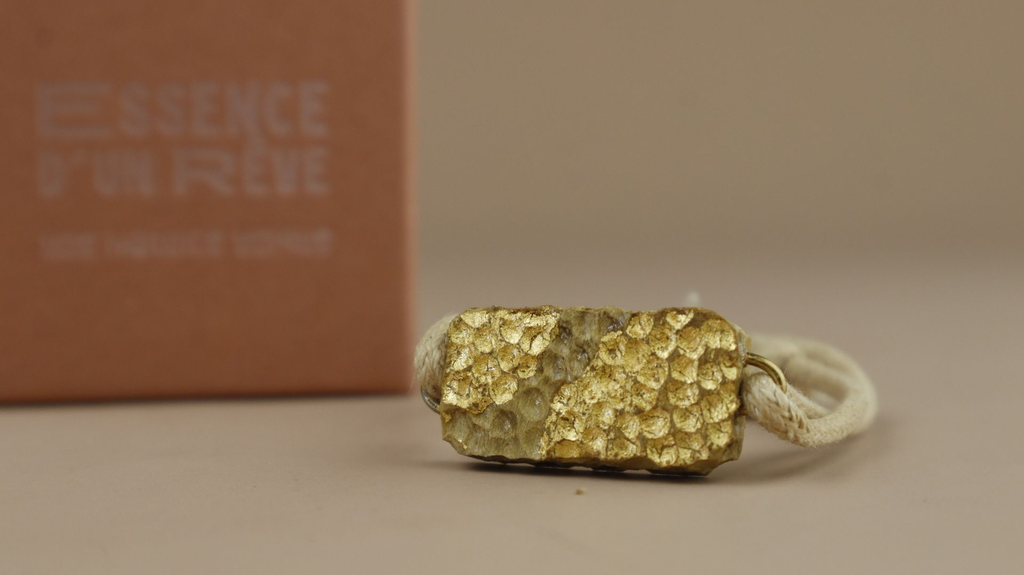 _MG_9023 13.13.09.webp